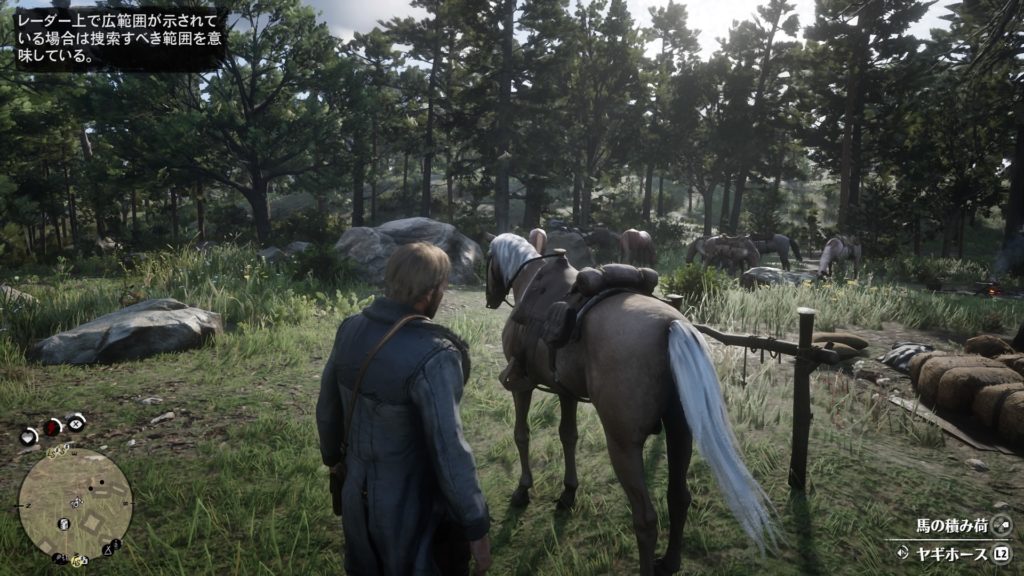 Rdr2 レッドデッドリデンプション2 評価 レビュー 圧倒的な作り込みで魅せるどんな一本道rpgよりも不自由な移動ゲー ヤギ雑記ブログ